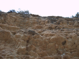 Rambla Perea-Mula 2018